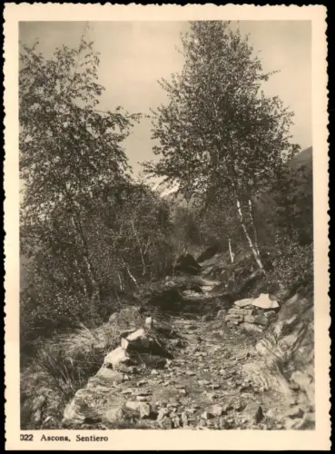 Ansichtskarte Ascona Bewaldeter Wanderweg (Sentiero) 1950