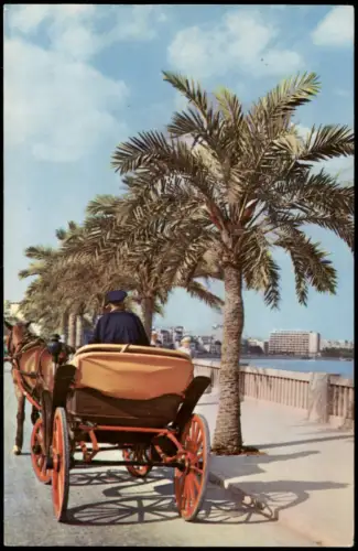 Palma ( de Mallorca) Paseo Marítimo mit Pferdekutsche und Palmen 1958
