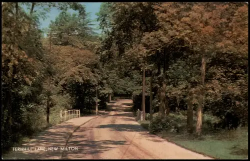 Postcard New Milton Fernhill Lane mit Baumbestand 1960