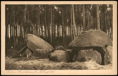 Ansichtskarte Bad Fallingbostel Steinhäuser im Wald Felsenformation 1928