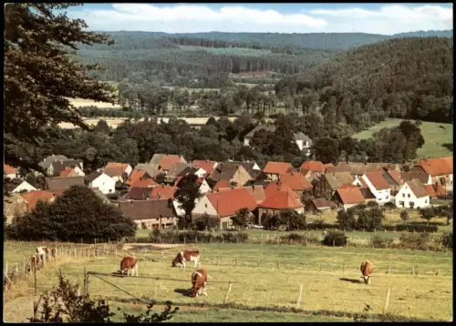 Alme-Brilon (Sauerland) Panorama-Ansicht Alme im Hochsauerland 2002