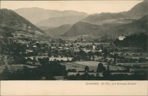 Ansichtskarte Gresten Bz Scheibbs Stadtpartie 1911