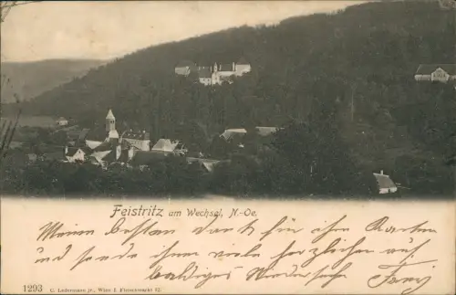 Ansichtskarte Feistritz am Wechsel Stadtblick 1899