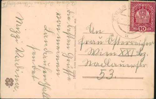 Ansichtskarte Tullnerbach Hintertullnerbach 1918