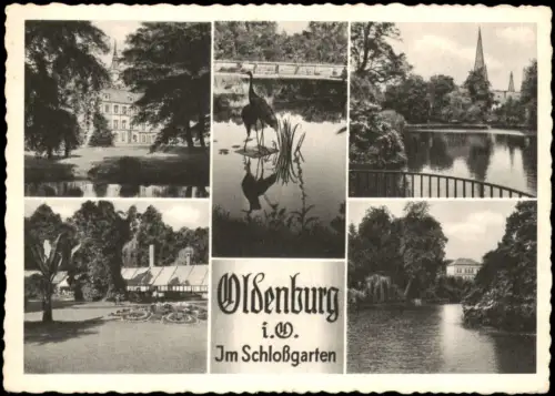 Ansichtskarte Oldenburg Mehrbildkarte mit 5 Ortsansichten 1950