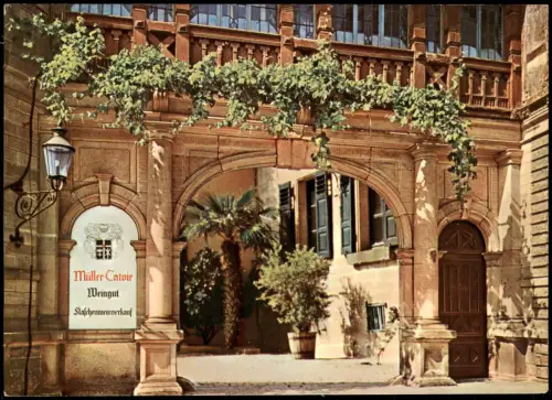 Gimmeldingen-Neustadt Weinstraße Neustadt an der Haardt Müller-Catoir   1975