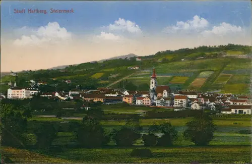 Ansichtskarte Hartberg Stadtpartie 1917