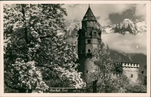 Ansichtskarte Hall in Tirol Solbad Hall Baumblüte Berge im Wolkenmeer 1930