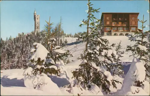 Ansichtskarte Mariazell Berghotel Bürgeralpe Aussichtswarte im Winter 1919