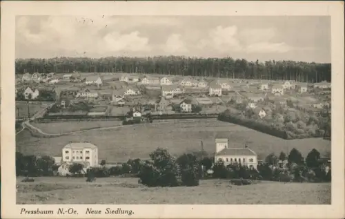 Ansichtskarte Pressbaum Neue Siedlung 1928