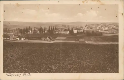 Ansichtskarte Wilfersdorf Niederösterreich Totale 1928