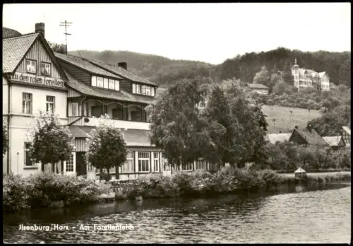 Ansichtskarte Ilsenburg (Harz) Partie am Forellenteich DDR Ansicht AK 1981