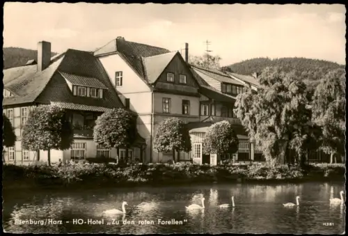 Ilsenburg (Harz) HO-Hotel 'Zu den roten Forellen' mit Schwanenteich 1961
