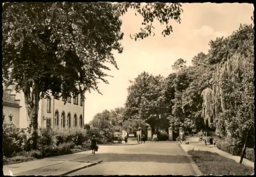 Ansichtskarte Zerbst Puschkinpromenade mit Francisceum 1961