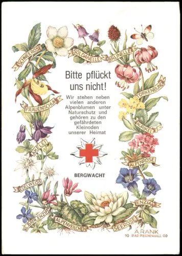 Ansichtskarte München Alpenblumen - Naturschutzkarte der Bergwacht 1965