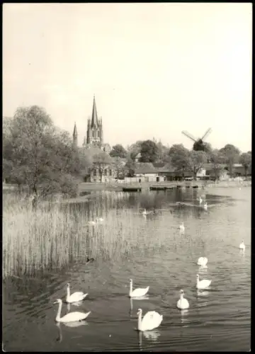Werder (Havel) DDR AK Inselansicht, Teich Schwäne, Blick zur Windmühle 1978