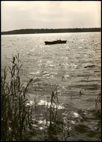 Pieskow-Friedland (Niederlausitz) Schwielochsee Partie zur DDR-Zeit 1968