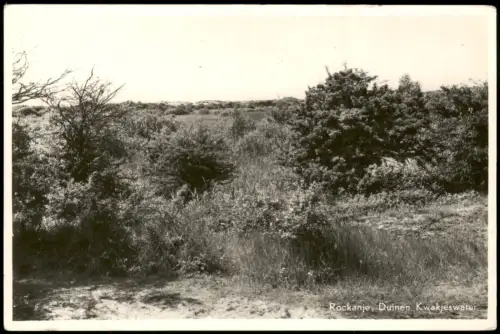 Postkaart Rockanje-Voorne aan Zee Dünenlandschaft Kwakjeswater 1939