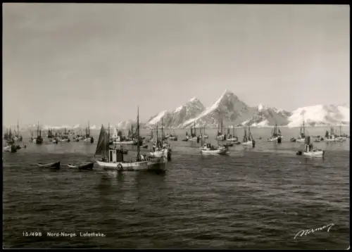 Norwegen Norge Norwegen Nord-Norge Lofotfiske Fischerboot Flotte 1960