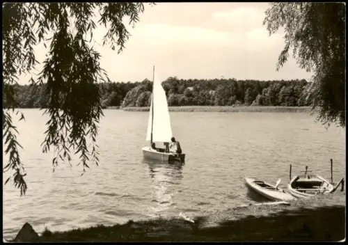 Zechlinerhütte Mark-Rheinsberg  Am Schlabornsee mit Segelboot 1971