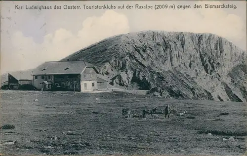 Ansichtskarte Reichenau an der Rax Karl Ludwighaus Raxalpe Bismarcksteig. 1913