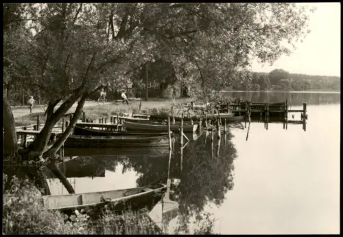 Ansichtskarte Lychen Uferpartie am Malerwinkel mit Ruderbooten 1972