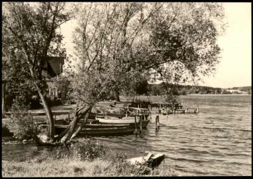 Ansichtskarte Lychen Uferpromenade am Oberpfuhlsee 1971