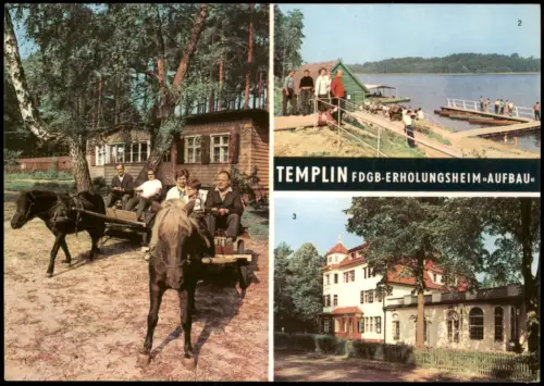 Templin 1. Ausfahrt mit den Ponys Lissy und Fips, 2. Badestrand   Lübbesee 1970