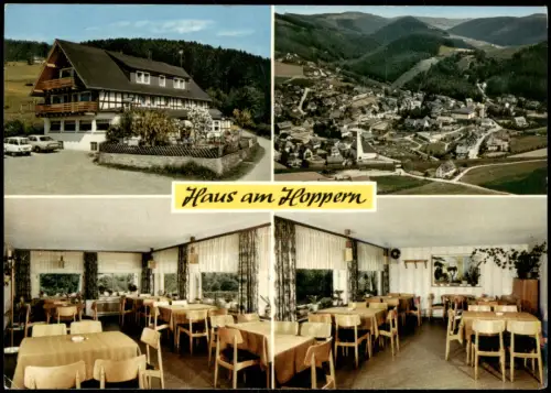Ansichtskarte Willingen (Upland) Wald-Café und Pension Haus am Hoppern 1975