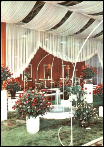 Ansichtskarte Erfurt Rosenschau in der Ausstellungshalle 1972