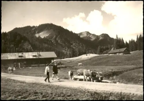Ansichtskarte Kreuth Umland-Ansicht Schwarzenten Alm 1976