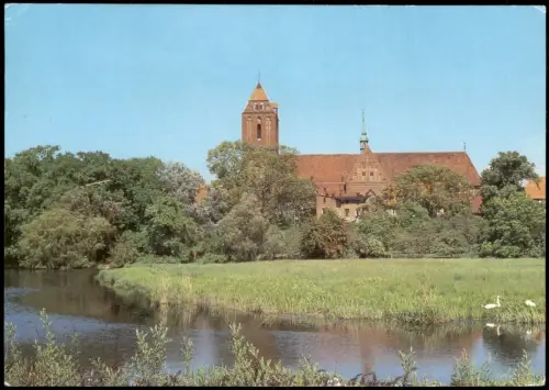 Ansichtskarte Güstrow Blick zum Dom - Teich im Vordergrund 1989