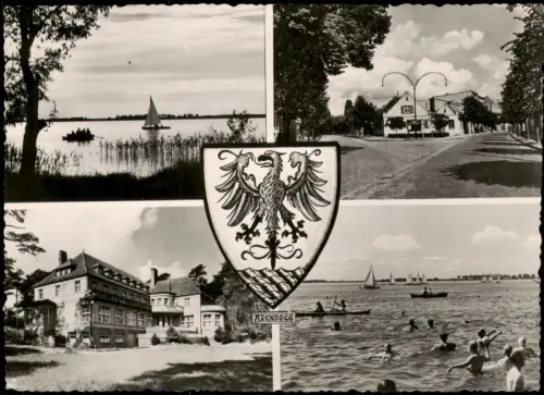 Arendsee (Altmark) Mehrbildkarte Arendsee (Altmark) mit Stadtwappen 1962