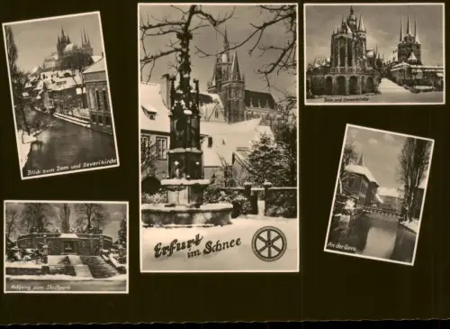 Ansichtskarte Erfurt Im Schnee, Dom, Stadtpark, An der Gera 1965