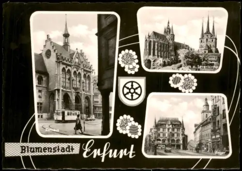 Erfurt Mehrbildkarte mit Rathaus, Dom, Severikirche und Anger 1967