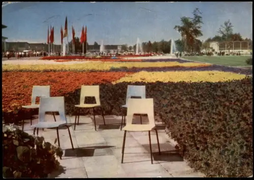 Erfurt Sommerblumenwiese auf der Internationalen Gartenbauausstellung (iga) 1967