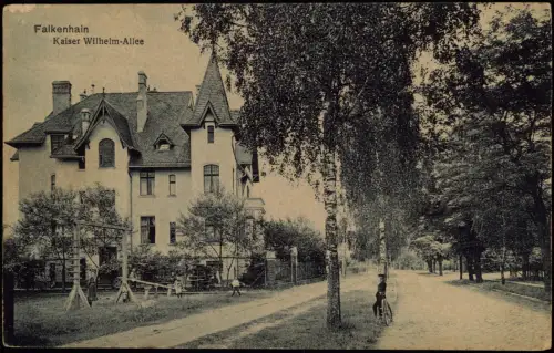 Postcard Falkenhain (Katzbach) Sokołowiec Kaiser Wilhelm-Allee 1913
