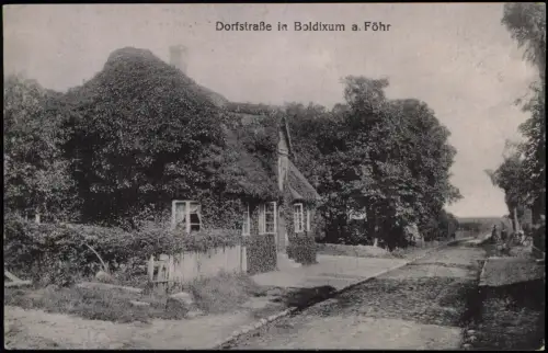 Ansichtskarte Boldixum-Wyk (Föhr) Dorfstraße Föhr 1915