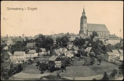 Ansichtskarte Schneeberg (Erzgebirge) Stadtpartie mit Kirche 1913