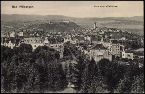 Ansichtskarte Bad Wildungen Blick vom Waldhaus. 1913