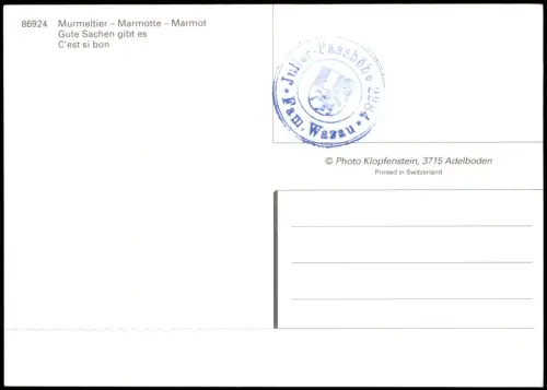 Ansichtskarte  Murmeltier mit Rucksack 1970  Stempel Julierpass
