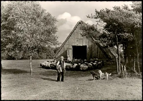 Ansichtskarte Wesel Gasthof u. Pension Heidelust Herde 1971