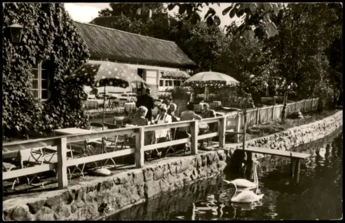 Ansichtskarte Buxtehude Ausflugslokal SEEBURG Neukloster 1972