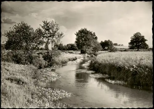 Ansichtskarte Ollsen LK Harburg An der Aue - Lüneburger Heide 1973