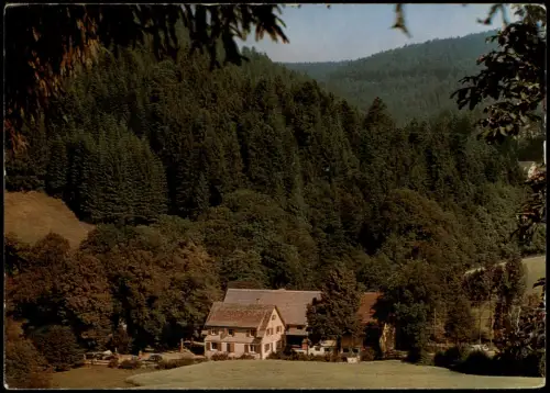 Ansichtskarte Ehlenbogen-Alpirsbach Umland-Ansicht mit Mittlere Mühle 1980