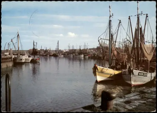 Ansichtskarte Norddeich-Norden Hafen Fischerei Bootsflotte 1966