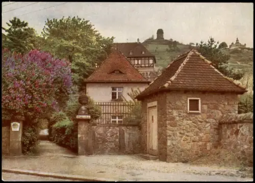 Radebeul DDR AK Lößnitz blüht Aufgang zum Schloß Hoflößnitz 1964