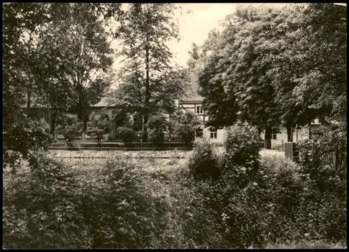 Radeberg Im Hüttertal Blick zur Hüttermühle Naturschutzgebiet DDR AK 1965