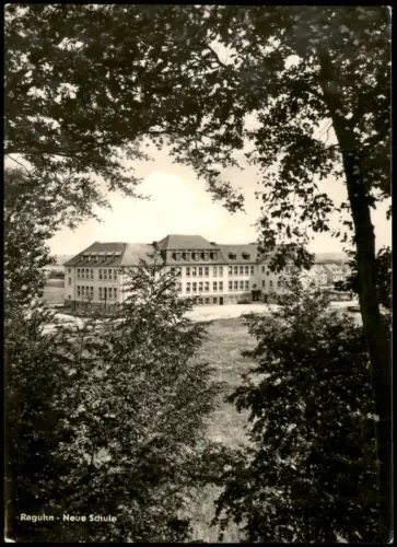Ansichtskarte Raguhn-Jeßnitz Raguhn Neue Schule zur DDR-Zeit 1964