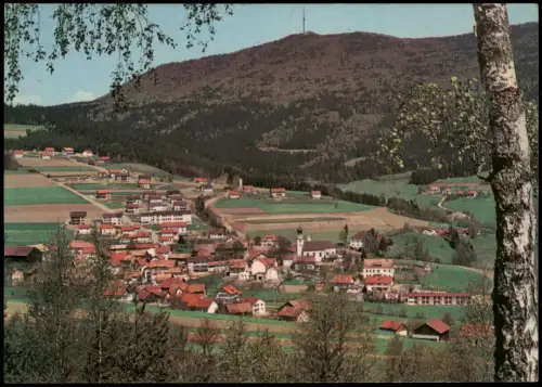 Rimbach (Oberpfalz) Panorama Rimbach Bayerischer Wald mit Hohenbogen 1968